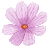 Cosmos October Birth Flower tattoo