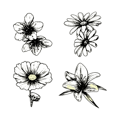 Cosmos October Birth Flower tattoo