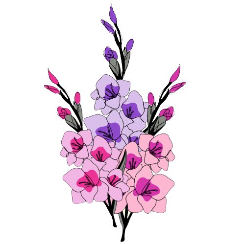 Gladiolus August Birth Flower