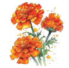 Marigold October Birth Flower tattoo