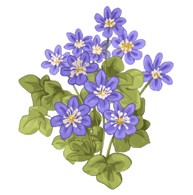 Violets February Birth Flower Tattoo