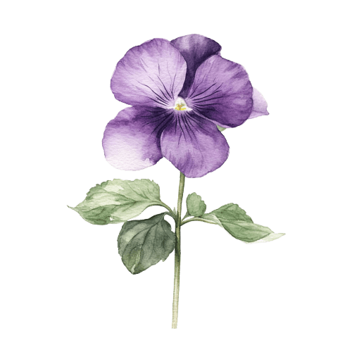 Violets February Birth Flower Tattoo