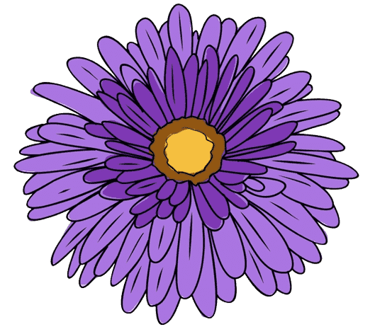  Aster September Birth Flower Tattoo