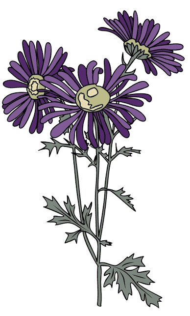  Aster September Birth Flower Tattoo