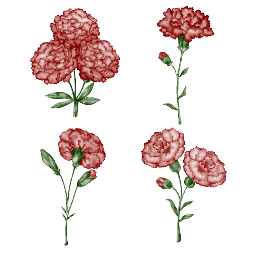 Carnation January Birth Flower Tattoo