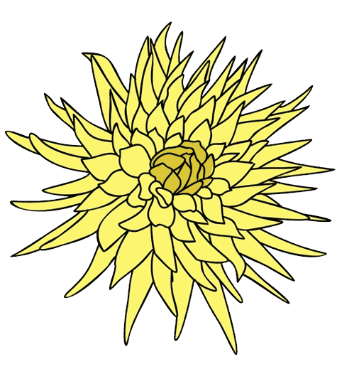 Chrysanthemum November Birth Flower Tattoo