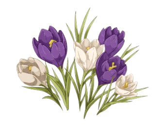 Crocus March Birth Flower Tattoo