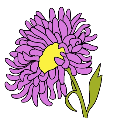Chrysanthemum November Birth Flower