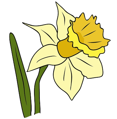 Daffodils Birth Flower