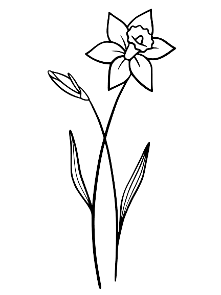 Daffodil March Birth Flower Tattoo