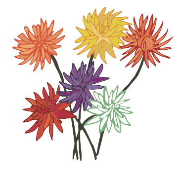 dahlias Birth Flower