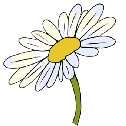 Daisy April Birth Flower