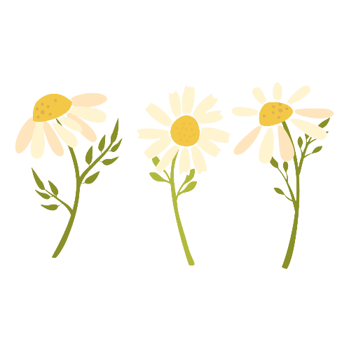 Daisy April Birth Flower tattoo