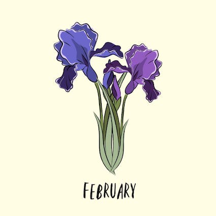 february birth flower