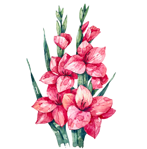 Gladiolus August Birth Flower Tattoo