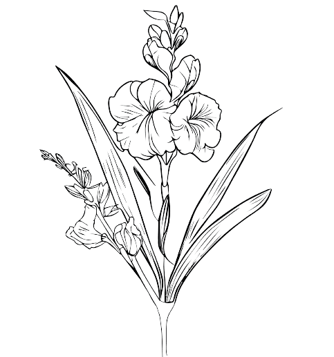 Gladiolus August Birth Flower Tattoo