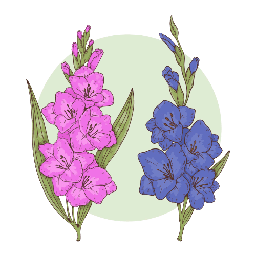 Gladiolus August Birth Flower Tattoo