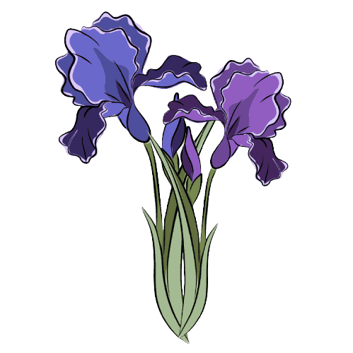 Iris February Birth Flower