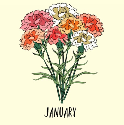 january birth flower