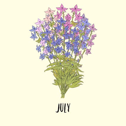 july birth flower