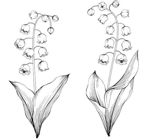 Lily of the Valley May Birth Flower Tattoo