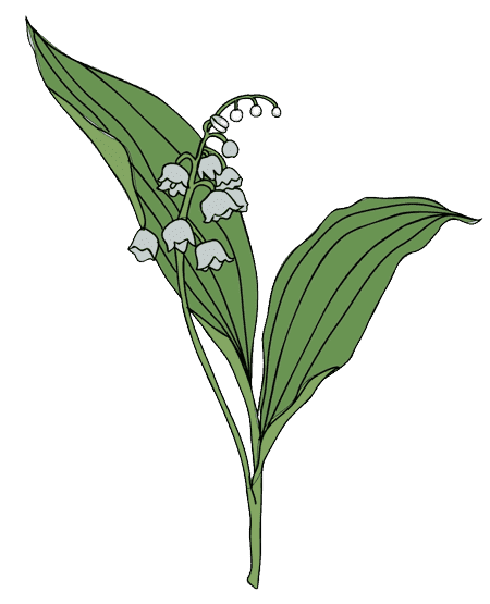 Lily of the Valley May Birth Flower Tattoo