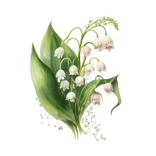 May Birth Flowers: Lily-of-the-Valley and Hawthorn
