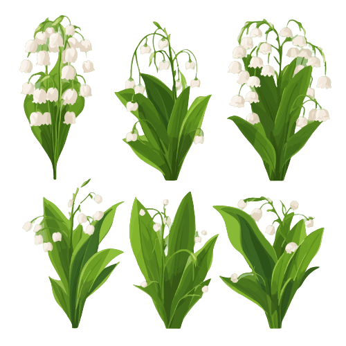 Lily of the Valley May Birth Flower Tattoo