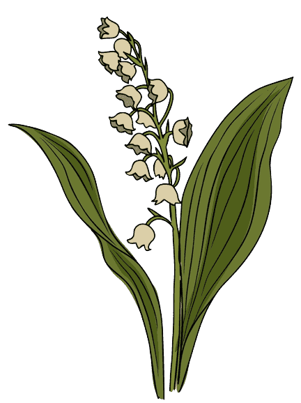 Lily of the Valley May Birth Flower Tattoo