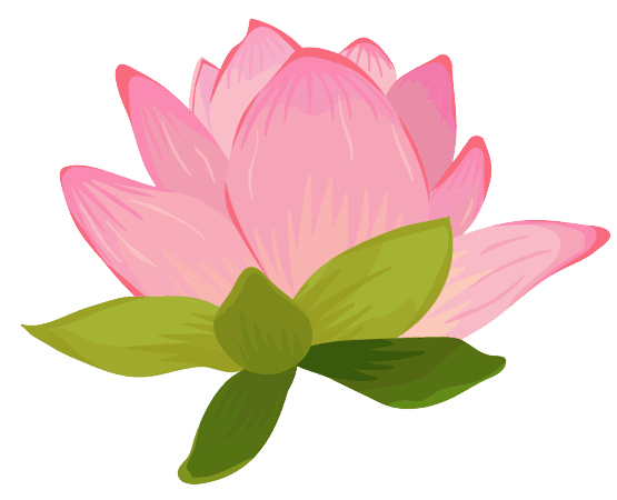 Water Lily s Birth Flower