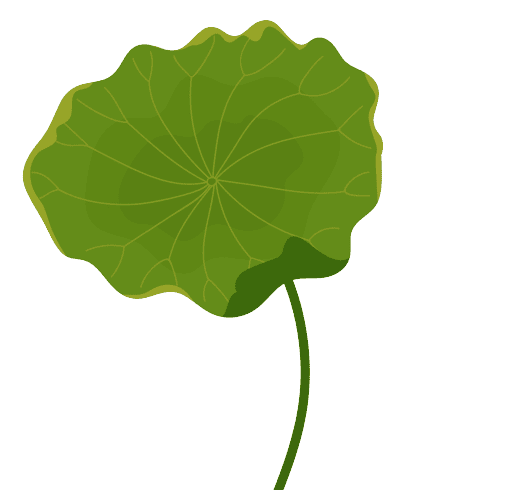 Water lily Birth Flower Image