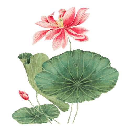 Water Lily  July Birth Flower Tattoo