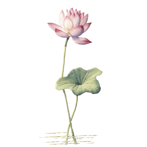 Water Lily  July Birth Flower Tattoo