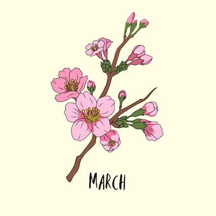 march birth flower