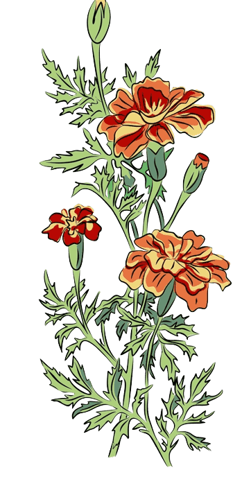 Marigold October Birth Flower tattoo