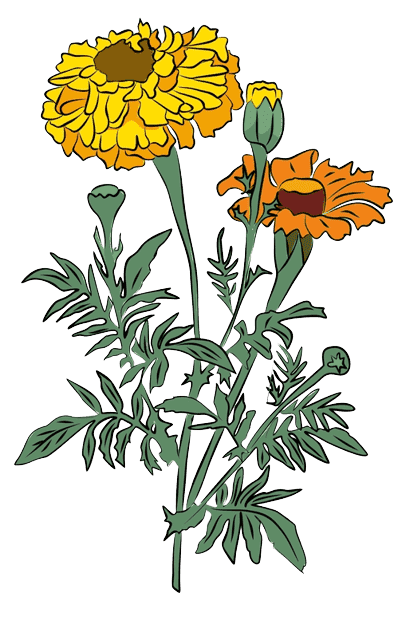 Marigold October Birth Flower tattoo