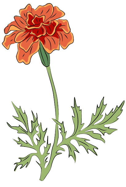 Marigold October Birth Flower tattoo