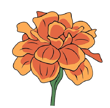 Marigold October Birth Flower