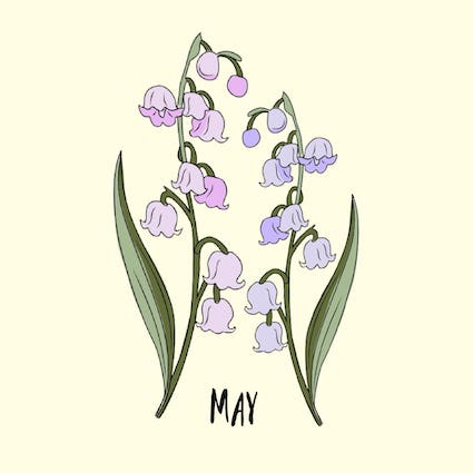 may birth flower