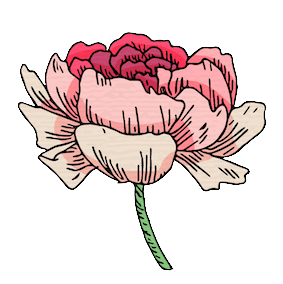 Birth Flower Image