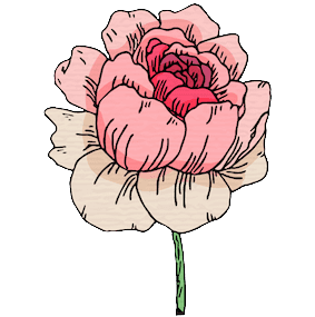 Birth Flower Image