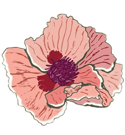 Poppy Birth Flower