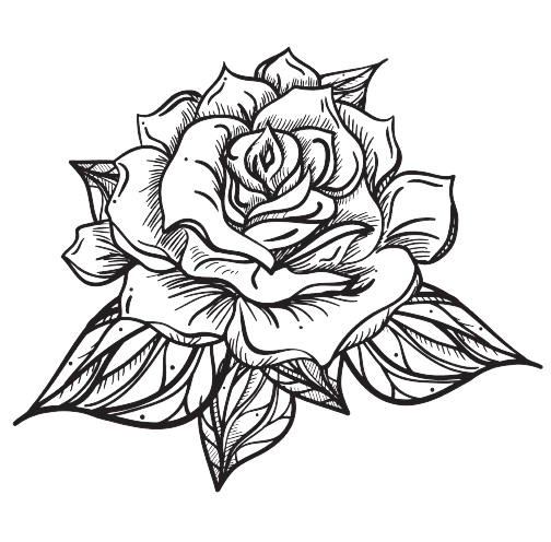 Rose June Birth Flower