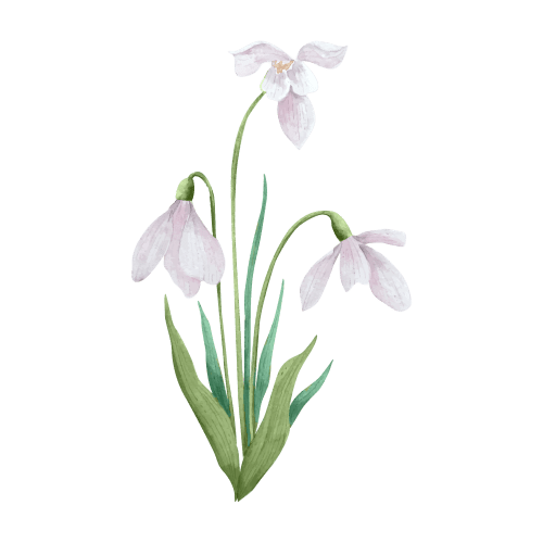 Snow Drop January Birth Flower Tattoo