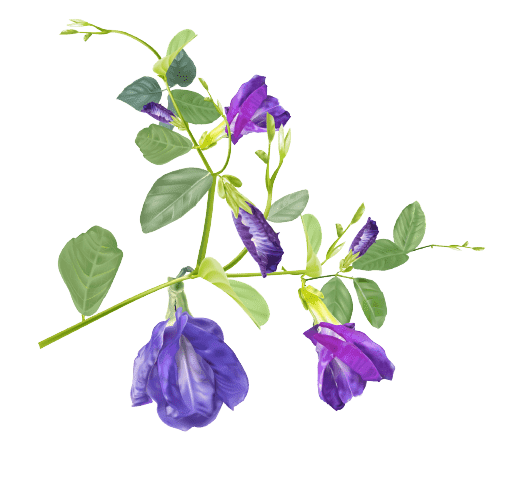 Sweet Peas April Birth Flower tattoo