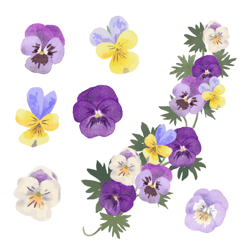Violets February Birth Flower Tattoo