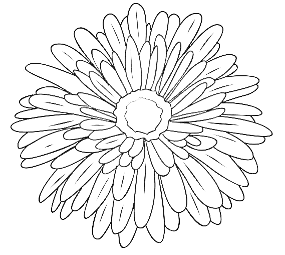  September Geburtsblumen-Tattoo-Ideen: Astern