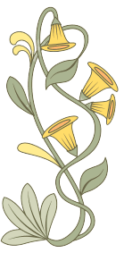 September Geburtsblumen-Tattoo-Ideen: Winde-Blume