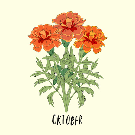 october Geburtsblume