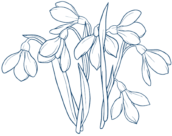 Januar Geburtsblumen-Tattoo-Ideen: Schneeglöckchen